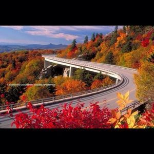 Meet your Posher, Taslima